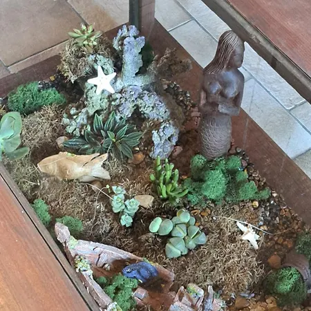 Au Temps Present - Maison De Charme Avec Jardin, Animaux Bienvenus, A 4km De Pairi Daiza * Brugelette
