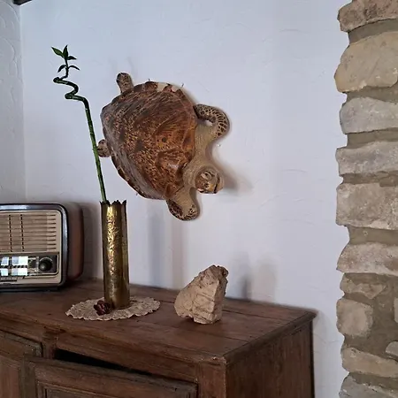 Au Temps Present - Maison De Charme Avec Jardin, Animaux Bienvenus, A 4km De Pairi Daiza Brugelette