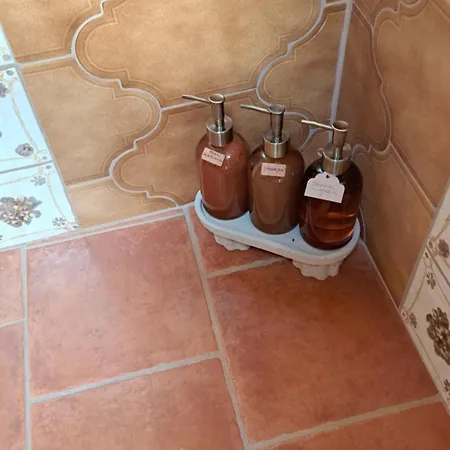 Au Temps Present - Maison De Charme Avec Jardin, Animaux Bienvenus, A 4km De Pairi Daiza Feriehus *