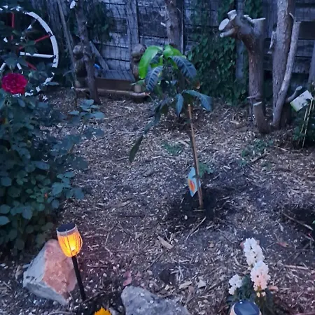 Au Temps Present - Maison De Charme Avec Jardin, Animaux Bienvenus, A 4km De Pairi Daiza * Brugelette