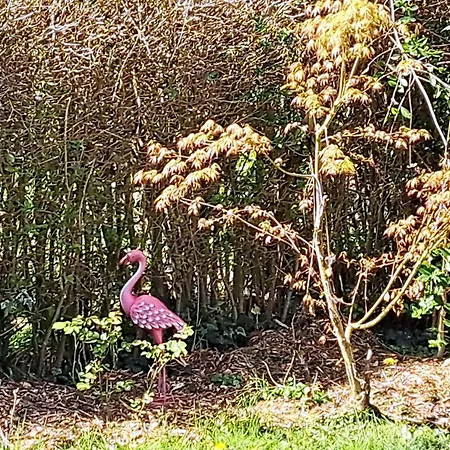 Feriehus Au Temps Present - Maison De Charme Avec Jardin, Animaux Bienvenus, A 4km De Pairi Daiza