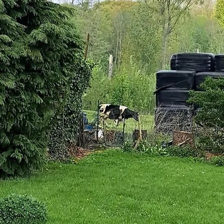 Au Temps Present - Maison De Charme Avec Jardin, Animaux Bienvenus, A 4km De Pairi Daiza Brugelette