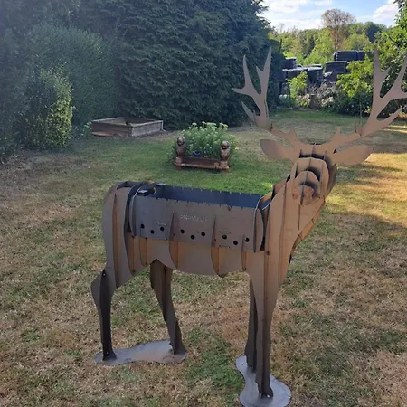 Au Temps Present - Maison De Charme Avec Jardin, Animaux Bienvenus, A 4km De Pairi Daiza