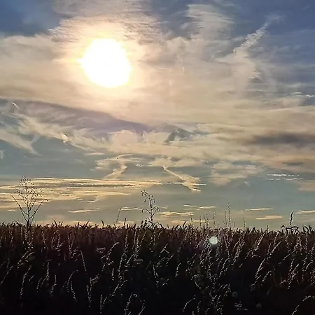 Au Temps Present - Maison De Charme Avec Jardin, Animaux Bienvenus, A 4km De Pairi Daiza Feriehus *